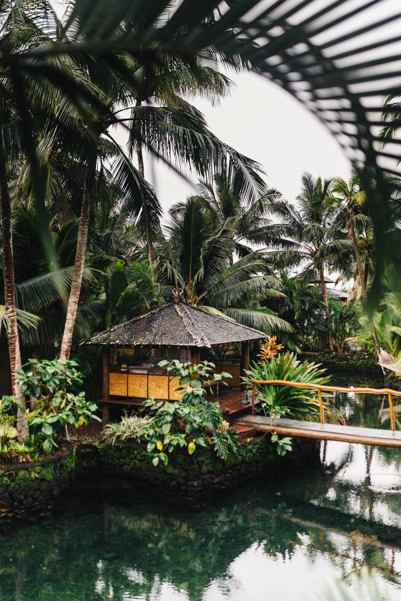 Huawei Phones are Moving Forward Without Google Mobile Services 2